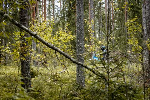 Mootorrattur läbib veega täitunud metsarada – Alakonnu Ralli 2025