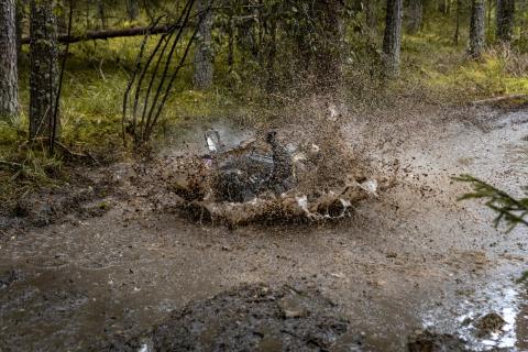 Mootorrattur läbib veega täitunud metsarada – Alakonnu Ralli 2025