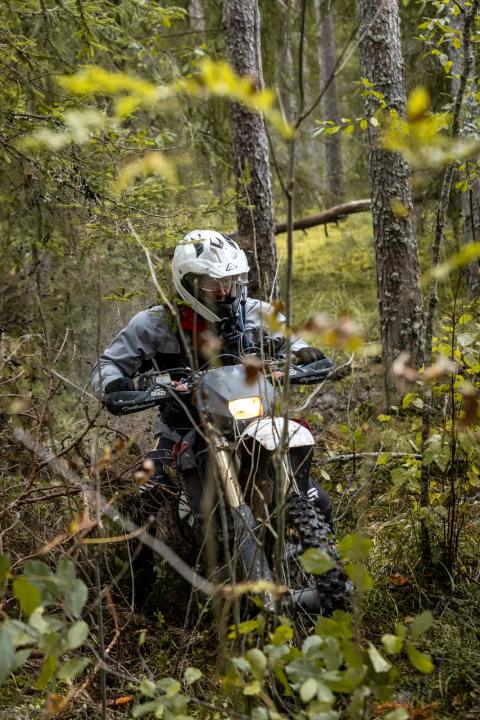 Mootorrattur läbib veega täitunud metsarada – Alakonnu Ralli 2025