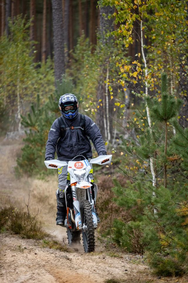 Rattur tõuseb liivasel rajal põõsaste vahel
