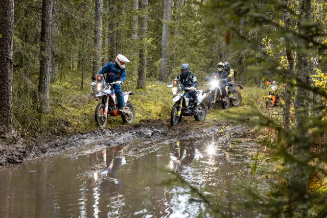 Mitu ratturit liiguvad läbi metsase veetakistuse