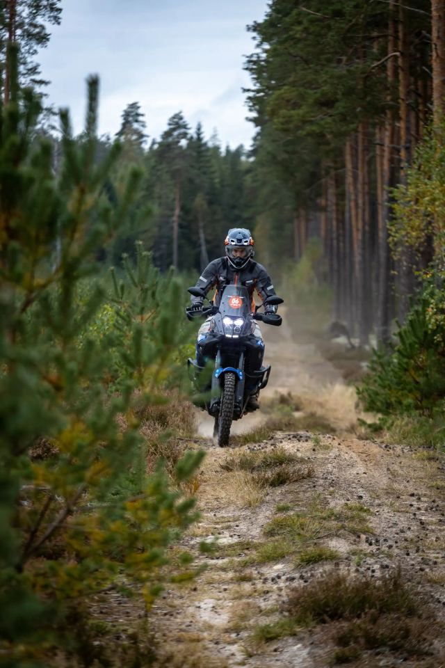 Rattur läheneb kitsal metsateel tolmuses valguses