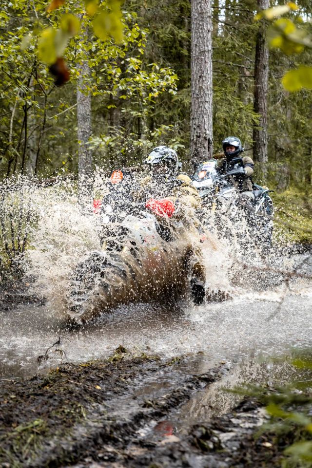 Kaks ratturit läbivad metsas veetakistust