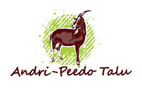 Andri-Peedo Talu