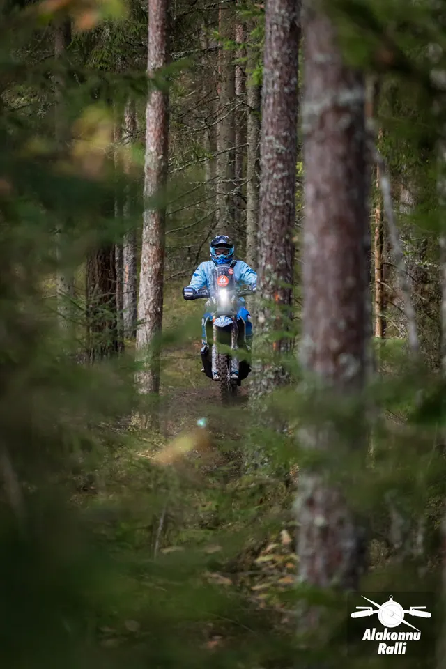 Alakonnu Ralli 2026: sinises varustuses mootorrattur paistab eemalt metsaokste vahelt.