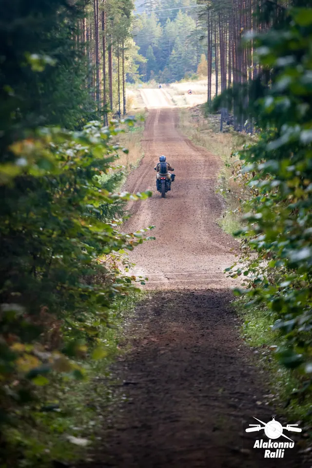 Alakonnu Ralli 2026: üksik mootorrattur pikal sirgel metsateel puude vahel.