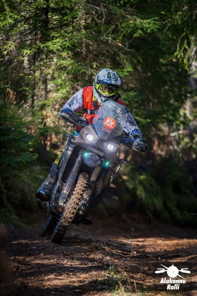 Alakonnu Rally 2026: a rider in grey and red gear leans the bike between spruce trees.