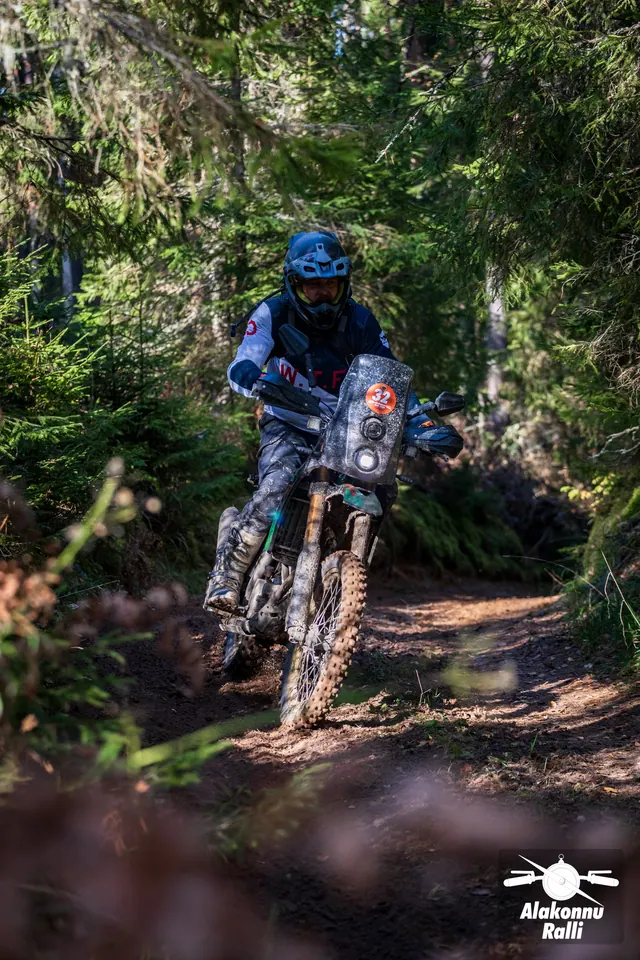 Alakonnu Rally 2026: a rider in a blue helmet approaches along a trail lined with spruce branches.