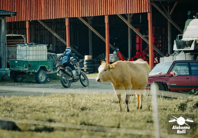 Mootorrattur möödub lehmast taluhoovis – Alakonnu Ralli 2026, SS2 · SS3